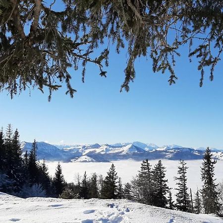 Ferienwohnung Floriani Saint Wolfgang Esterno foto